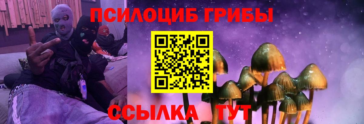 Краснознаменск  Псилоцибиновые грибы мицелий  Псилоцибиновые грибы прущие грибы  Вход с VPN 